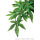 Тропическое растение Exo Terra Jungle Plants Абутилон среднее, 55х20 см