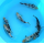 Карп Кои ассорти ML17-20 см (Cyprinus carpio)