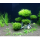 Декор для нано-аквариумов Dennerle Nano Decor Bonsai Tree