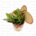 Суккулент микс Sombrero