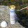 Тестер для анализа воды Oase AquaActiv QuickSticks 6in1