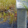 Излив Oase Waterfall 60