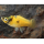Пецилия Пчелка (Xiphophorus maculatus)