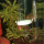 Диффузор CO2 JBL ProFlora Taifun P миниатюрный, для пресноводных аквариумов 20-400 л