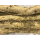 Декор из лианы плюща Неочищенной 30-40 x 60-80