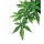 Тропическое растение Exo Terra Jungle Plants Абутилон большое, 80х20 см