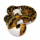 Королевский питон (Pied) S