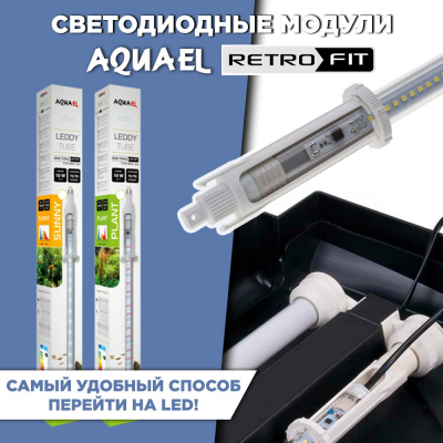 Множество новых товаров для вашего хобби!