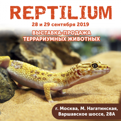 Приглашаем на выставку REPTILIUM 28-29 сентября!