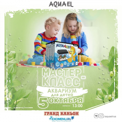 Мастер-класс по оформлению двух детских аквариумов AQUAEL Aqua4kids