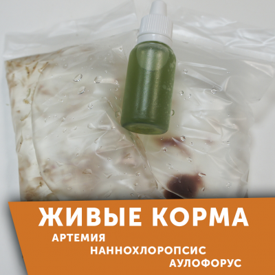 Живые корма-лакомства для аквариумных рыб!