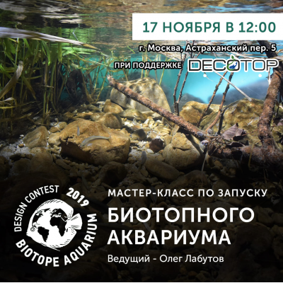 Мастер-класс по оформлению биотопного аквариума в Москве