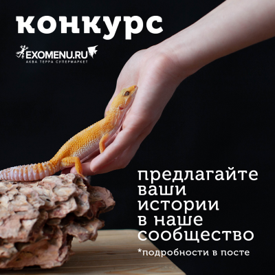 В нашем сообществе ВК больше 40000 участников! Объявляем конкурс!