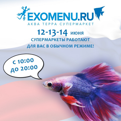 С Днём России!