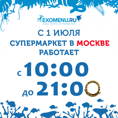 С 1 июля наш супермаркет в Москве работает с 10:00 до 21:00!