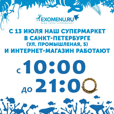 С 13 июля наш супермаркет в Санкт-Петербурге (ул. Промышленная, 5) и интернет-магазин работают с 10:00 до 21:00!