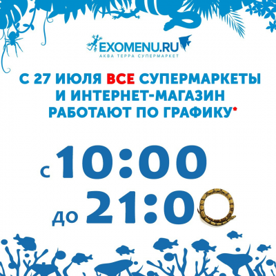 Режим работы EXOMENU с 27 июля 2020 года. 
