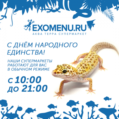 С Днём Народного Единства!