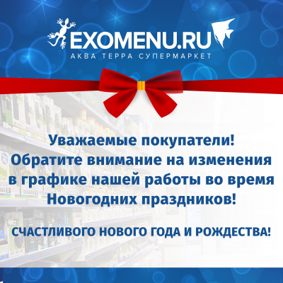 ГРАФИК РАБОТЫ СУПЕРМАРКЕТОВ И ИНТЕРНЕТ-МАГАЗИНА В НОВОГОДНИЕ ПРАЗДНИКИ