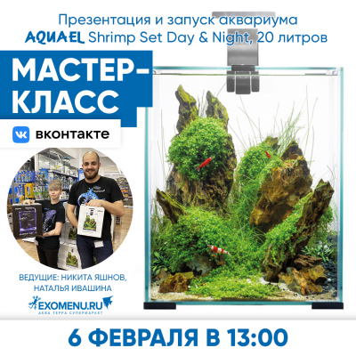Онлайн мастер-класс во ВКонтакте. Запускаем нано-аквариум с пресноводными креветками!