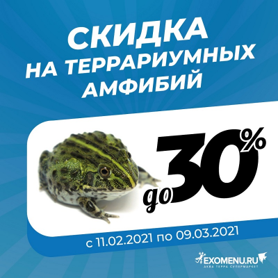 Скидки на террариумных амфибий до 30%!