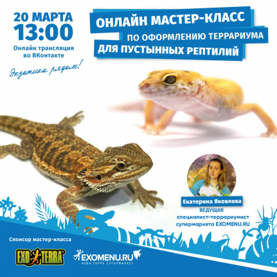 Онлайн мастер-класс во ВКонтакте! Спонсор мастер-класса - бренд EXO-TERRA