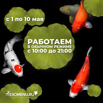 График работы в майские праздники