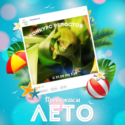 Участвуйте в конкурсе репостов во ВКонтакте!