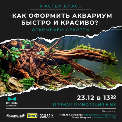 Онлайн мастер-класс "Как оформить аквариум быстро и красиво?" с победительницей конкурса Tetra Easy Scape! + розыгрыш призов*.
