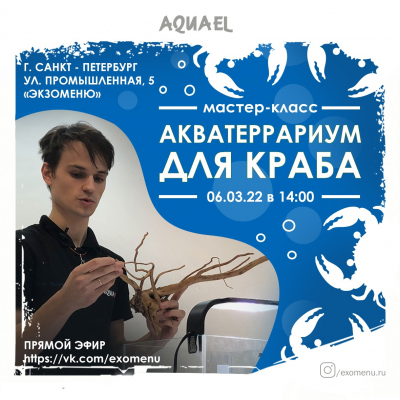 МАСТЕР-КЛАСС В САНКТ-ПЕТЕРБУРГЕ 6 МАРТА