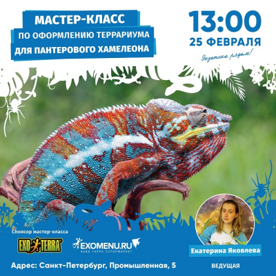 Приглашаем на мастер-класс 25 февраля!