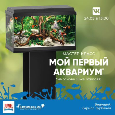  Онлайн мастер-класс по оформлению аквариума JUWEL Primo для начинающих.
