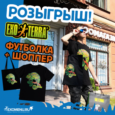 Участвуйте в розыгрыше мерча EXO TERRA в нашем телеграм канале!