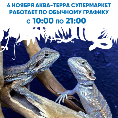 ГРАФИК РАБОТЫ EXOMENU.RU 4.11