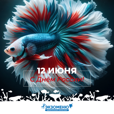 С Днем России! График работы розничных супермаркетов и интернет-магазина