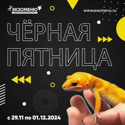 ЧЁРНАЯ ПЯТНИЦА УЖЕ БЛИЗКО!