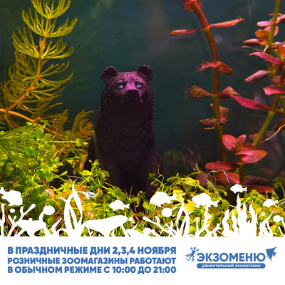 С Днем народного единства! График работы розничных супермаркетов и интернет-магазина.