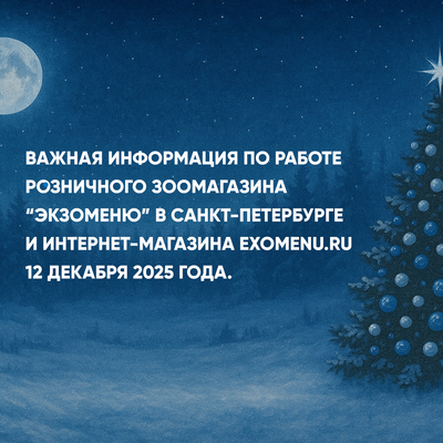 ВАЖНАЯ ИНФОРМАЦИЯ О ГРАФИКЕ РАБОТЫ В САНК-ПЕТЕРБУРГЕ 12 ДЕКАБРЯ!