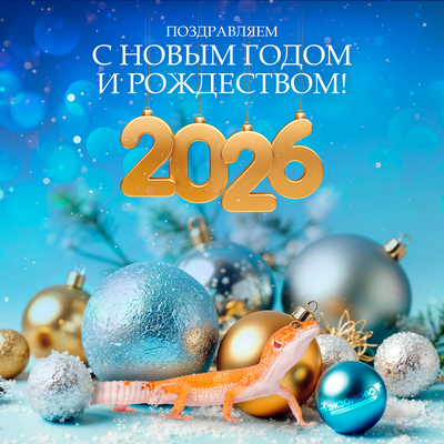 ГРАФИК РАБОТЫ СУПЕРМАРКЕТОВ И ИНТЕРНЕТ-МАГАЗИНА В НОВОГОДНИЕ ПРАЗДНИКИ