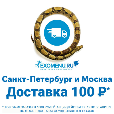 C 15 по 30 апреля, при сумме заказа от 1000 рублей - доставка всего 100 рублей!