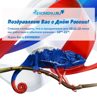 С Днём России! График работы в праздничные дни.