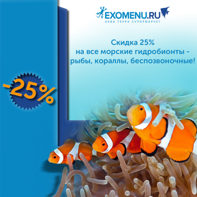 Скидка 25% на ВСЕ морские гидробионты!