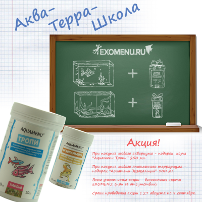 Акция АКВА ● ТЕРРА ● ШКОЛА