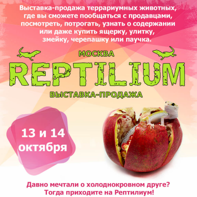 Рептилиум 13-14 октября