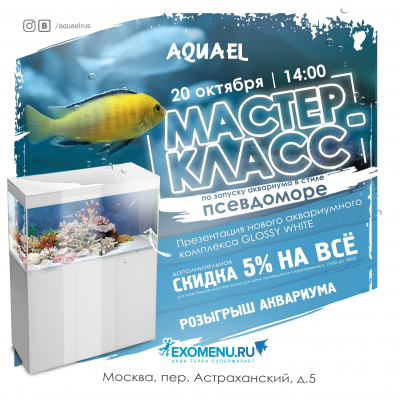Мастер-класс от AQUAEL в московском супермаркете!