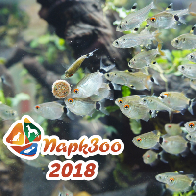 Итоги выставки ПаркЗоо 2018