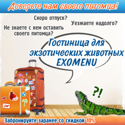 Гостиница для ваших питомцев!