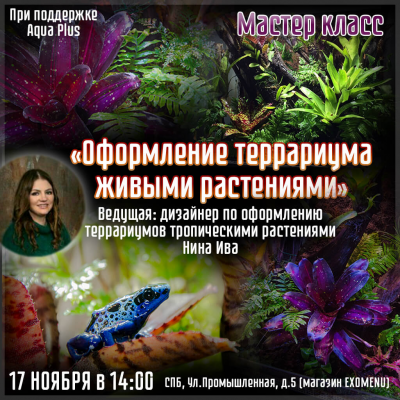 Мастер класс по оформлению террариума живыми растениями. 17 ноября в 14:00