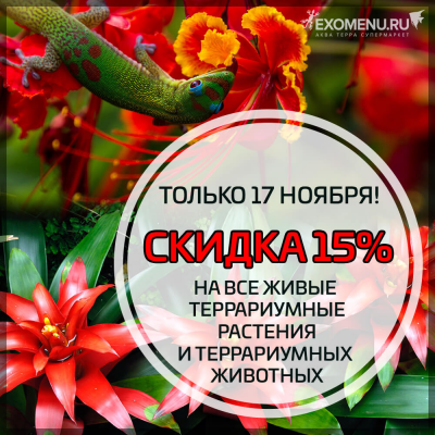 Только 17 ноября - скидка 15% на ВСЕ террариумные растения и террариумных животных!