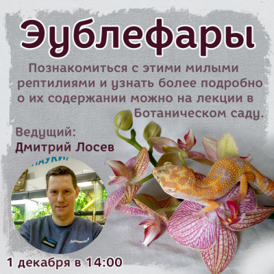 Цикл лекций про террариумных животных в Ботаническом Саду